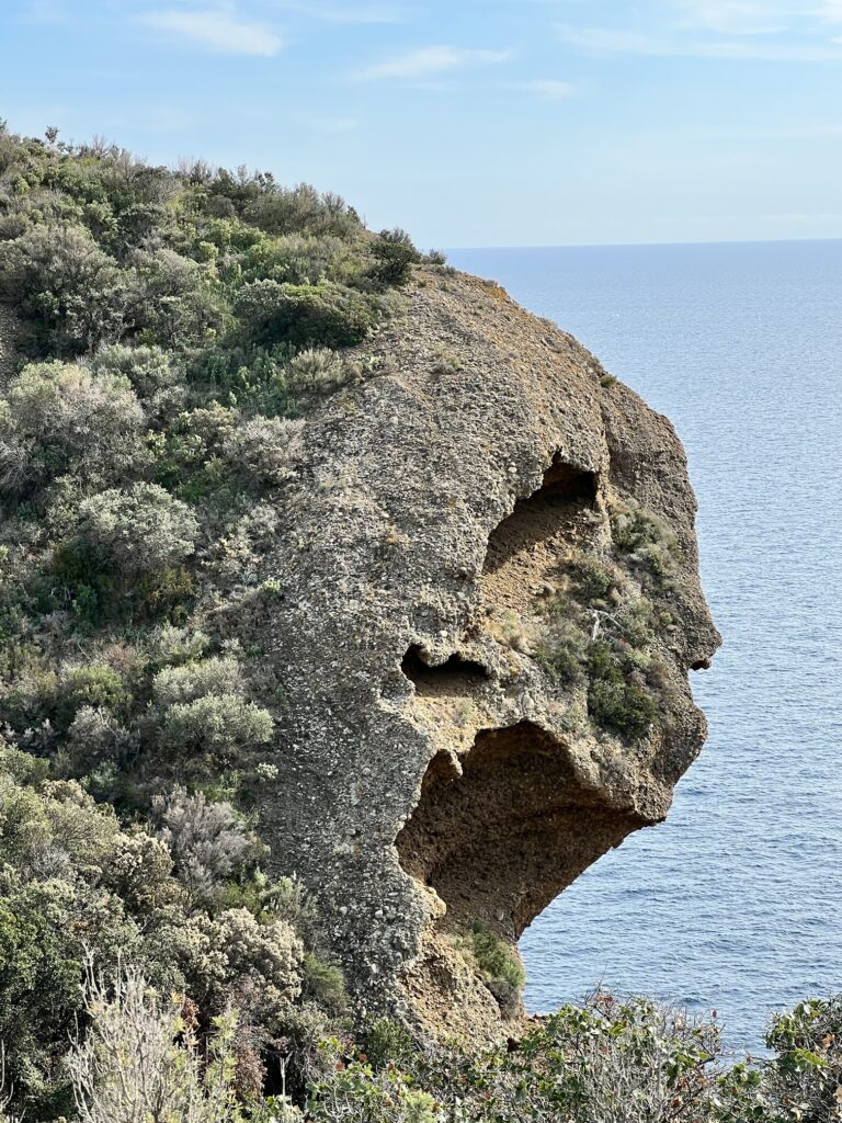 Sur le dos de la bête