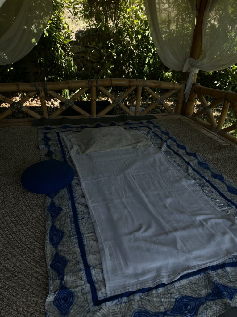 Shiatsu à domicile à Bandol La Cadière et communes environnantes
Shiatsu au sein de l'association Art Maux Nie Bien-Être de Saint-Cyr-sur-Mer