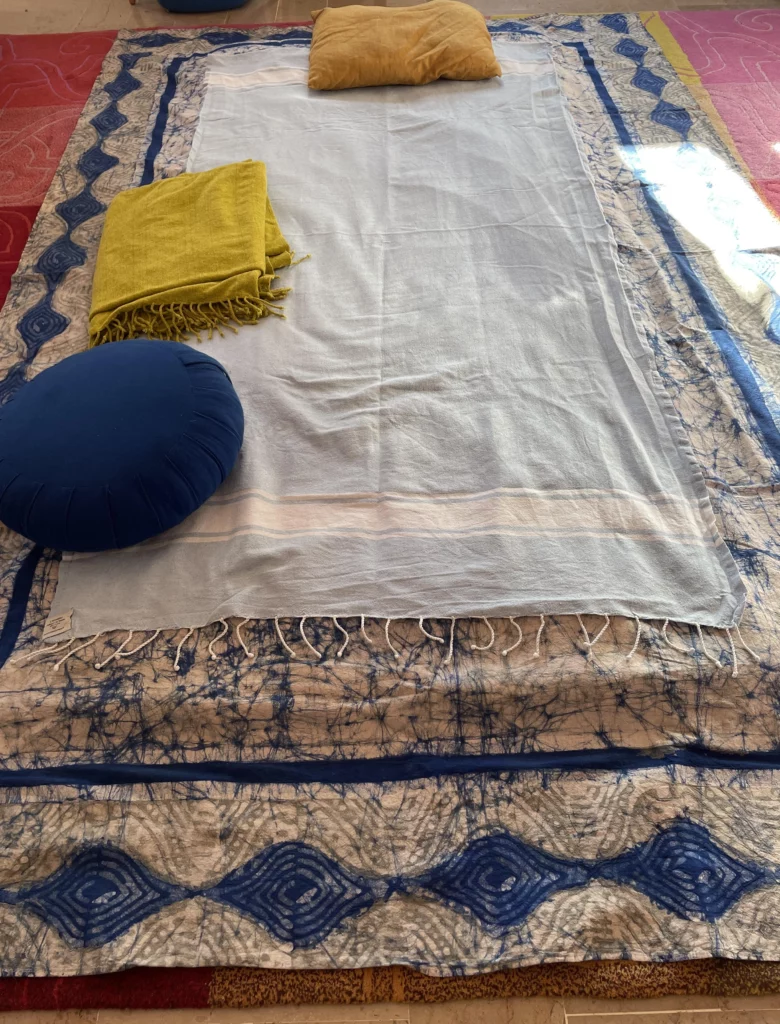 Shiatsu des méridiens Var