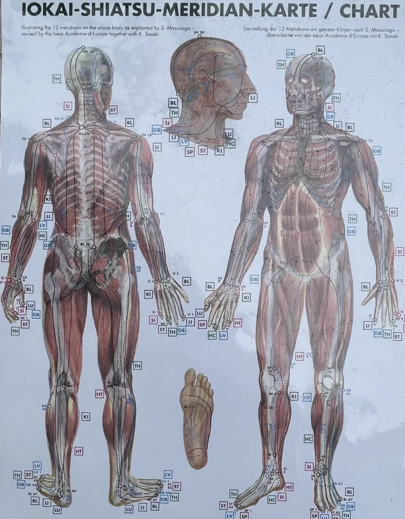 Carte des méridiens Masunaga
Shiatsu Var