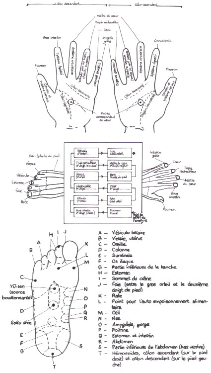 Circulation énergétique
Shiatsu Var