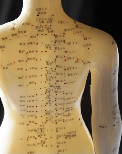 Etirements des méridiens
Shiatsu Var